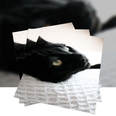 Posters Product Image